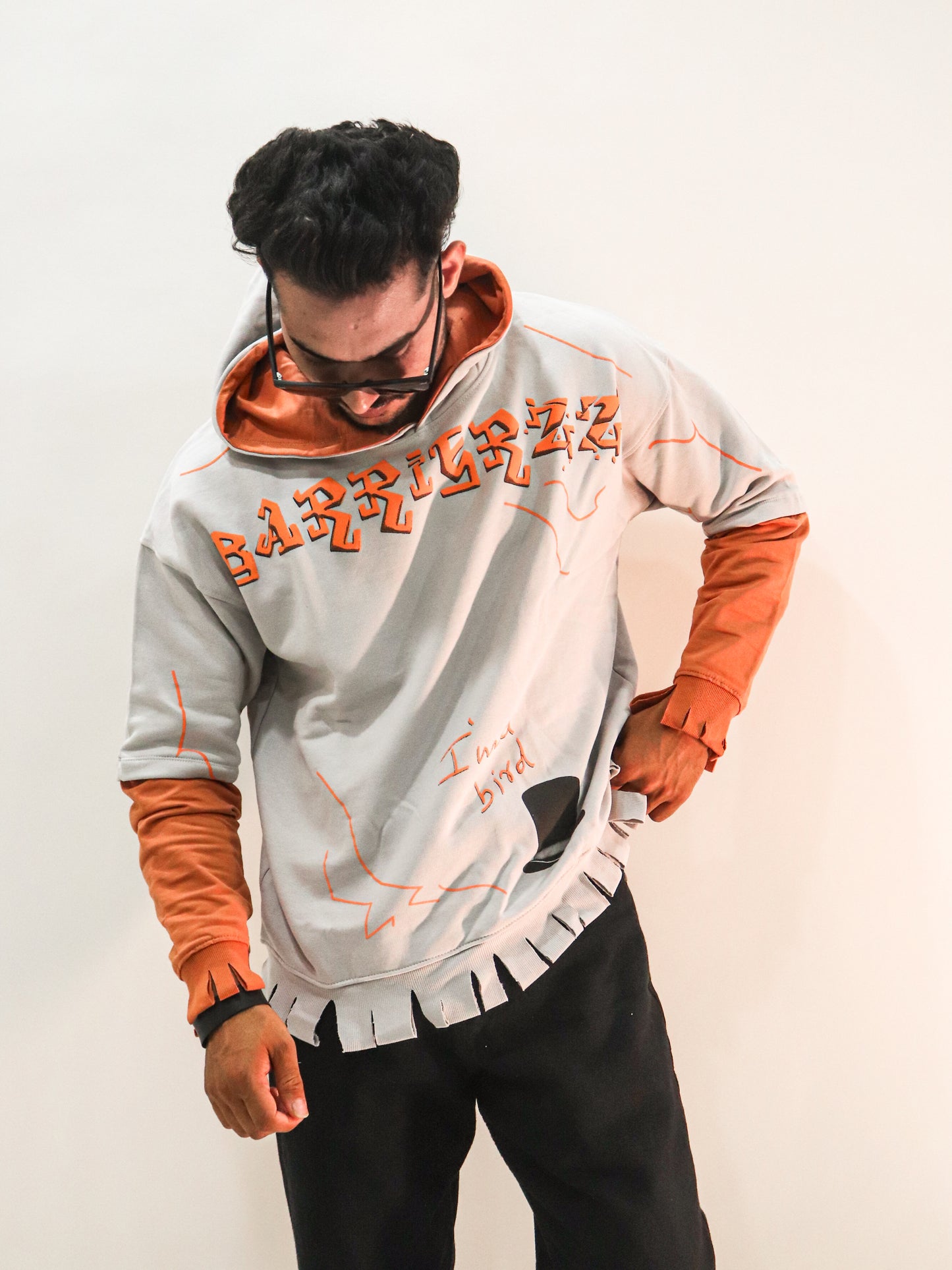 Pigeon Hoodie